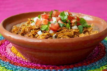 Mexican plate of birria on a colorful purple background. 
