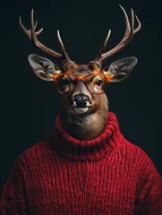 Selbstklebende Fototapeten A portrait of a deer with glasses and a red sweater against a dark background. © watz
