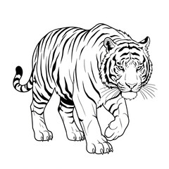 Naklejka premium tiger vector illustration