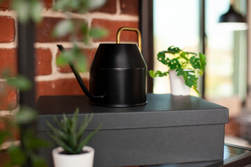 Closeup of watering pot on shelf with plant decorations and boxes, placed near brick wall. Selective focus on black metal watering can set on office cabinet with a window nearby. © DC Studio