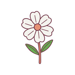 Wildflower daisy floral illustration