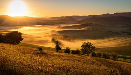 Fototapeta premium As the sun rises, rolling fields are blanketed in golden light, creating a peaceful atmosphere. A stunning view invites a sense of wanderlust and connection to the natural world