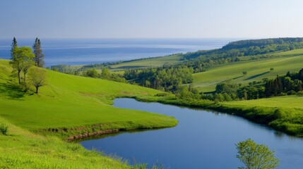 Tranquil Meadow Pond Scenic Landscape