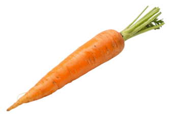 Fresh carrots with green tops ready to go