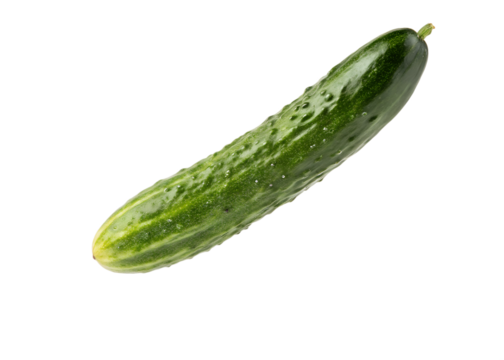 Fresh cucumber on a white background