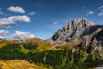 Sommerliche Wiesen und Wälder in den Dolomiten: San Martino di Castrozza und Passo Rolle