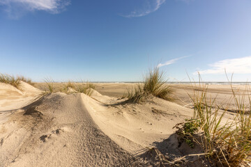 Seaside beach landscape view at Espiguette, Camargue, france in early spring