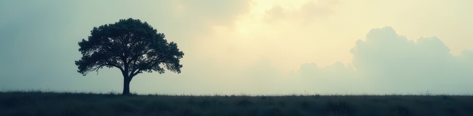 A lone tree silhouetted against a muted, overcast sky A feeling of quiet solitude , atmosphere, tree, melancholy