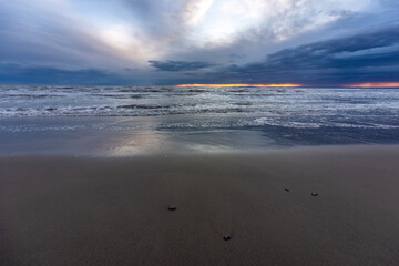 Beautiful seaside and dunes landscape at Piémanson beach at the camargue, france, in early spring during sundown