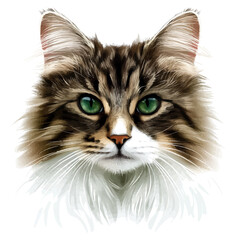 Norwegian Forest Cat Head Vector Illustration | Majestic Feline Artwork for Logos & Prints  
