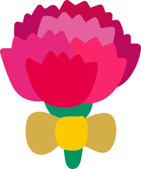 Fototapeta premium 카네이션