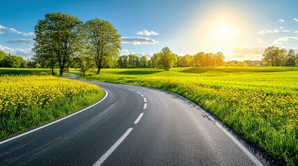 Naklejka premium Picturesque Country Road: A Serene Summer Drive through a Dandelion Field