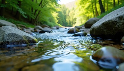 Fototapeta premium Serene Forest Scene: Tranquil Stream Reflects Lush Greenery