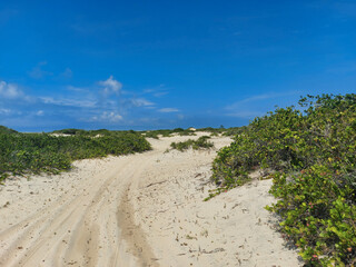 sand dunes on the beach