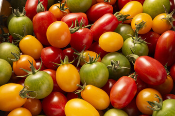 新鮮で美味しいミニトマトの盛り合わせ