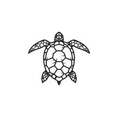 Obraz premium Hand-Drawn Outline of a Turtle Illustrating Artistic Simplicity