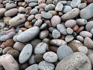 Colorful Pebbles Scattered Along a Beach Create a Natural Mosaic Under Soft Sunlight