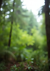 Defocused bokeh blur of green outdoors forest background bokeh green bokeh green abstract background light bright blur pattern
