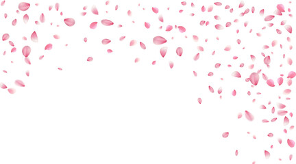 spring banner template cherry blossom Or sakura flying petals vector illustration romantic background with realistic pink cherry flower petals flow or falling motion