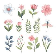 Watercolor Floral Illustration Botanical Watercolor Elements Hand Painted Flowers and Leaves Watercolor Floral Clipart