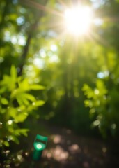 Blurred green bokeh background in nature on a sunny day bokeh green bokeh green abstract background light bright blur pattern
