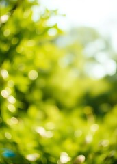 Obraz premium Summer blurred green background with bokeh effect bokeh green bokeh green abstract background light bright blur pattern