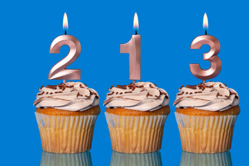 Birthday Cupcakes With Candles Lit Forming The Number 213.