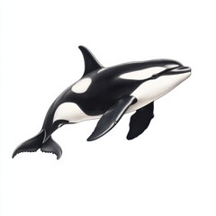 Fototapeta premium Majestic Orca - Photorealistic Image of Graceful Killer Whale with Bold Black and White Coloration on White Background