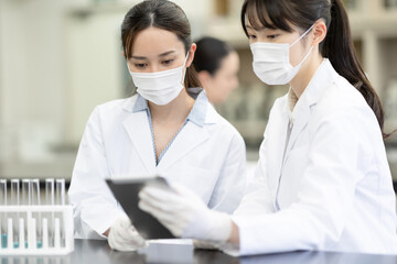 作業をする研究員