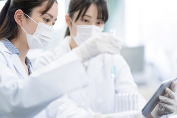 作業をする研究員