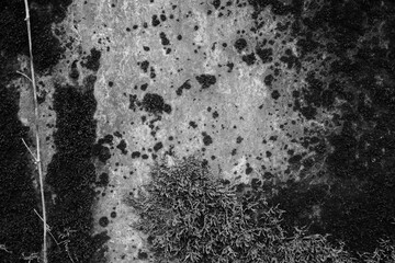 Old black background. Grunge wall texture. Blackboard wallpaper. Grung