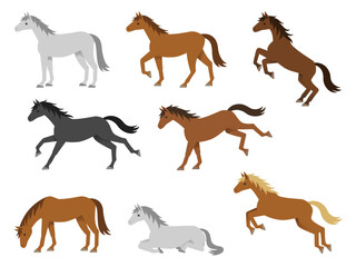 色々な毛色の馬のイラストセット