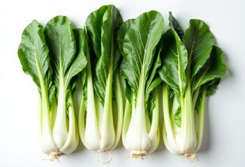 Fresh Bok Choy in a Row on a White Background