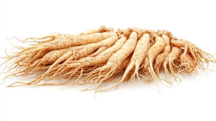 Close-up of a bunch of fresh ginseng roots with visible rootlets, isolated on a white background.