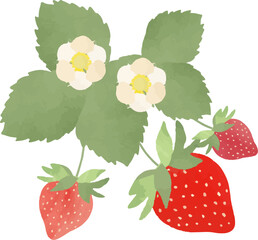 可愛い苺のイラスト