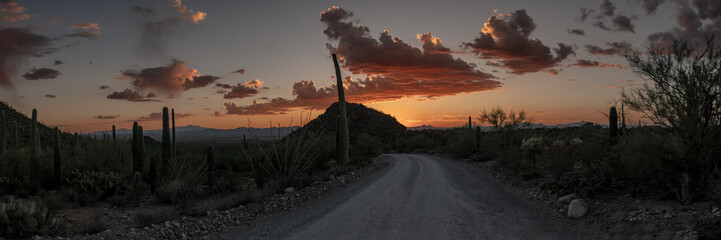 Panorama Of Hohokam Road At Sunset In Saguaro