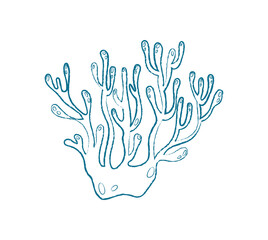 Fototapeta premium Underwater seaweed doodle. Silhouette of a marine plant. Flora of the ocean, flat style, perfect for summer projects. A unique visual for aquarium designs and marine life illustrations.