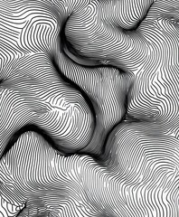 Abstract Black and White Line Art Design with Flowing Patterns
