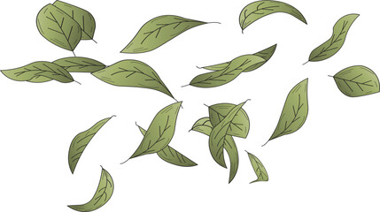 the illustration of leaves that are being blown by the wind.