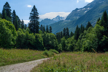View of the Alibek Gorge in the mountains of the North Caucasus and the trail to the Alibek waterfall near the village of Dombay on a sunny summer day, Karachay-Cherkessia, Russia