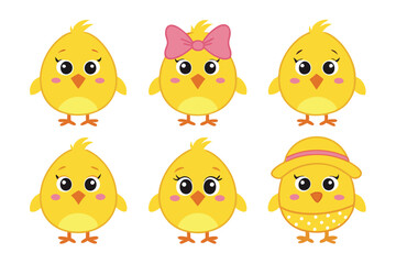 A Bundle of Cute Yellow chick vector cartoon illustration Easter day