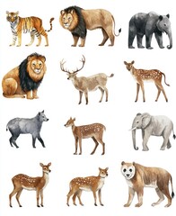 Fototapeta premium Watercolor Animals Collection Featuring Diverse Wildlife Species