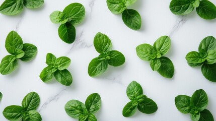 Fresh mint leaves on marble background.  Food recipe or blog use