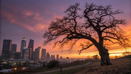 Embrace the City: A Conceptual Sunrise Over Metropolis - Architectural Photography