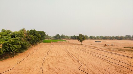 rural landscape with trees, agricultural landscape field, 