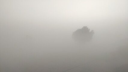fog in winter morning, fog over the trees, foggy weather cinematic view