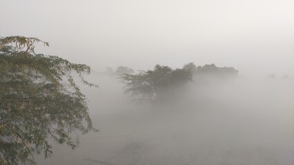fog in winter morning, fog over the trees, foggy weather cinematic view