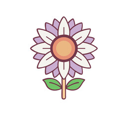 Wildflower sunflower botanical illustration