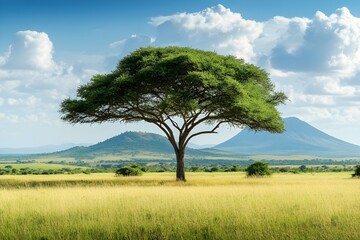 Fototapeta premium The beauty of the savannah, depicting a large tree standing majestically in a vast field, with a backdrop of towering mountains, depicting the harmony of nature