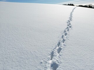 Footprints in the snow receding towards the horizon - Trace de pas dans la neige s'éloignant vers l'horizon
